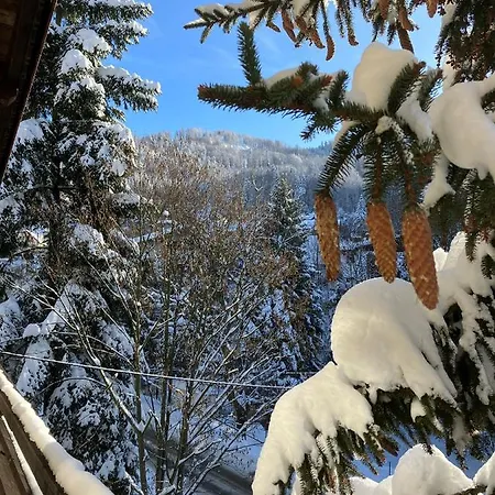 Bed & Breakfast Niezapominajka