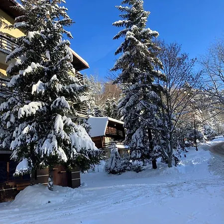 Niezapominajka * Szczyrk