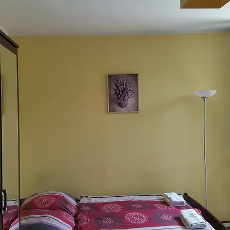 Niezapominajka Nocleg ze śniadaniem Szczyrk