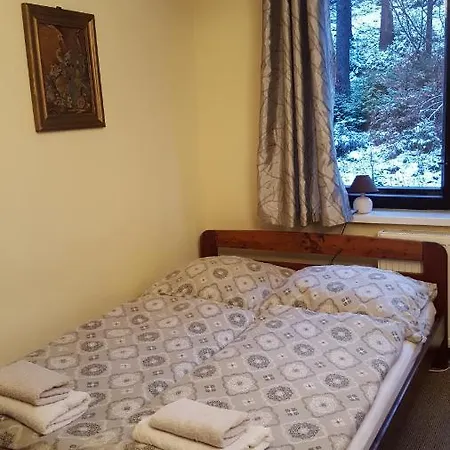 Niezapominajka