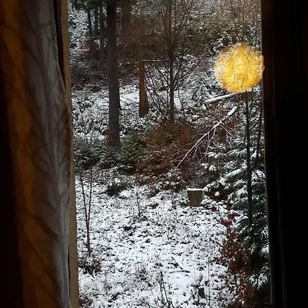 Niezapominajka * Szczyrk