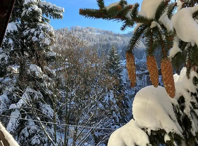 לינה וארוחת בוקר Niezapominajka