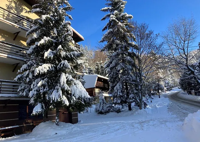 Niezapominajka * שצ'צ'ירק