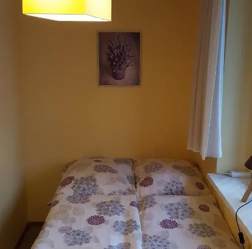 Niezapominajka שצ'צ'ירק